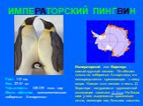 ИМПЕРАТОРСКИЙ ПИНГВИН. Рост: 112 см. Вес: 27-40 кг. Численность: 135-175 тыс. пар Место обитания: континентальное побережье Антарктики. Императорский или Форстера - самый крупный пингвин. Он обитает только на побережье Антарктиды и в непосредственно прилегающих к нему водах. Назван этот пингвин в че