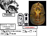 Тутанхамон Рамзес. Упоминание о вирусах в древнеегипетском папирусе