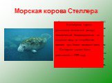 Впервые это животное открыл в 1741 году Георг Стеллер. Малоподвижное беззубое темно-бурое животное длиной до 10 метров с раздвоенным хвостом обитало в мелких бухтах, практически не умело нырять, питалось водорослями. Животное не боялось людей и безжалостно истреблялось. В основном люди использовали 