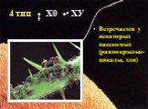 4 тип. Встречается у некоторых насекомых (равнокрылые- цикады, тли). Х0 ХУ