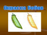 Окраска бобов