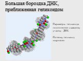 Большая бороздка ДНК, приближенная геликоидом. Параметры геликоида подгоняются к каждому участку ДНК. Поэтому геликоид искривлен