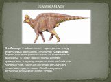 Ламбеозавр (Lambeosaurus) – принадлежит к роду птицетазовых динозавров, семейства гадрозавров. Еще его называют утконосые или же шлемоносные динозавры. В. Паркс описал ящера, который принадлежал к периоду позднего мела из Альберты, еще в 1923 году. Ранее для изучения предлагались только некоторые ос