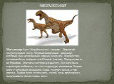 Мегалозавр (лат. Megalosaurus) - хищник. Двуногий ящеротазовый ящер. Первый найденный динозавр, который был досконально описан и изучен. Множество останков было найдено и в Южной Англии, Португалии и во Франции. Достигал метров 9 в высоту. Для шеи была характерна гибкость, за счет структуры позвонко
