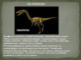 Целофизис относился к группе плотоядных динозавров-цератозавров. Обитал на планете в триасовом периоде. Считался хищным ящером средних размеров – наибольшая длина 3 метра, а рост этого динозавра приблизительно равнялся росту человека.  Несколько проигрывая другим хищным ящерам в размерах, он компенс