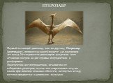 Первый летающий динозавр, или по-другому Птерозавр (pterosaur), появился на нашей планете 230 миллионов лет назад. Исследователи динозавров разделили всех летающих ящеров на две группы: птеродактили и рамфоринхи.  Практически все птеродактили, независимо от габаритных размеров, летали как современны