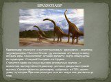 Брахиозавр относился к растительноядным динозаврам – подотряд зауроподморфы. Населял Землю 155 миллионов лет назад: в эпоху поздней юры. Окаменевшие останки древнего ящера обнаружены на территории Северной Америки и в Африке.  Считается одним из самых высоких ископаемых ящеров – с полностью вытянуто