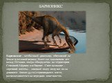 Барионикс – необычный динозавр, обитавший на Земле в меловой период более 120 миллионов лет назад. Останки ящера обнаружены на территории Северной Африки и в Европе. Свое название – «крепкий коготь» – хищный ящер получил из-за длинного (около 35 см) серповидного когтя, располагавшегося на передних к