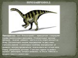 Прозавроподы (лат. Prosauropoda) — принадлежит к подгруппе группы ящеротазовых динозавров. Отличительные внешние признаки - наличие длинного хвоста и тело, скорее похожее на бочку. Для некоторых ящеров передвижение на двух лапах считалось нормой. А некоторым такой вид передвижения не нравился, поэто