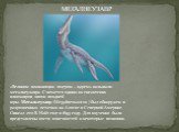 «Великим плавающим ящером – царем» называли мегалнеузавра. Считается одним из гигантских плиозавров эпохи поздней юры. Мегалнеузавр (Megalneusaurus ) был обнаружен в разрозненных остатках на Аляске в Северной Америке. Описал его В. Найт еще в 1895 году. Для изучения были представлены кости конечност