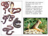 Некоторые змеи очень ядовиты, поэтому их укус опасен для человека. Например, это кобры и гадюки. При укусе яд змей выходит из специального зуба. Яд нужен змеям для того, чтобы убивать свою добычу, а также чтобы защитить от нападения себя.