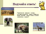 Перечислите признаки слонов, как представителей отряда Хоботные. Какое значение имеют слоны в жизни экосистемы саваны?