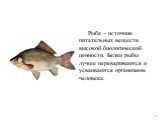 Рыба – источник питательных веществ высокой биологической ценности. Белки рыбы лучше перевариваются и усваиваются организмом человека.