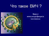 Что такое ВИЧ ? Вирус иммунодефицита человека