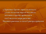 Красивые броши дарю я в надежде, уехать подальше верхом на одежде. цепляюсь я крепко крючочком, чтоб вылезли скоро расточки. Назовите растение и способ распространения