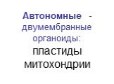 Автономные - двумембранные органоиды: пластиды митохондрии