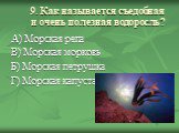 9. Как называется съедобная и очень полезная водоросль? А) Морская репа В) Морская морковь Б) Морская петрушка Г) Морская капуста