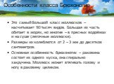 Особенности класса Брюхоногие. Это самый большой класс моллюсков – насчитывает 90 тысяч видов. Большая их часть обитает в морях, но многие – в пресных водоёмах и на суше (легочные моллюски). Размеры их колеблются от 2 – 3 мм до десятков сантиметров. Основная особенность брюхоногих – раковина состоит