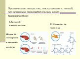 Органические вещества, поступающие с пищей, под влиянием пищеварительных соков расщепляются: 1.Белки до аминокислот. 2.Углеводы до глюкозы. Жиры до глицерина и жирных кислот