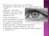 Оптическая сила хрусталика глаза около 60 дптр. Изображение, которое видит глаз, мозг человека распознает за 0.05с. Хрусталик – единственное образование в организме человека, к которому не подступает ни один кровеносный сосуд. Расстояние наилучшего зрения для нормального глаза 25см. Угол зрения глаз