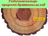 Годичное кольцо- прирост древесины за год. По годичным кольцам можно: 1. Подсчитать возраст дерева или побега 2. Определить в каких условиях жило растение 3. Установить колебания погодных условий за многие годы. Около 12 лет