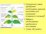 Определите, какие удобрения необходимы данным растениям для улучшения почвенного питания? Найдите необходимые удобрения в коллекциях. Ответ обоснуйте. http://www.akva-dv.ru/blogs/161-jedbez.html