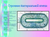1 — клеточная стенка, 2 — наружная цитоплазматическая мембрана, 3 — хромосома (кольцевая молекула ДНК), 4 — впячивание наружной цитоплазматической мембраны, 5 — вакуоли, 6 — мезосома (вырост наружной мембраны), 7 — стопки мембран, в которых осуществляется фотосинтез, 8 — рибосома, 9 — жгутики.