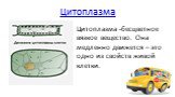 Цитоплазма -бесцветное вязкое вещество. Она медленно движется – это одно из свойств живой клетки.