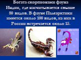 Богата скорпионами фауна Индии, где насчитывается свыше 80 видов. В фауне Палеарктики имеется около 100 видов, из них в России встречается около 15.
