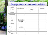 Внутреннее строение стебля. Кожица Чечевички Пробка Луб Камбий Древесина Сердцевина. Сердцевинные лучи. Слои и структуры стебля. Виды тканей. Проводящая Механическая Основная. Функции. Особенности строения клеток