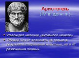 Аристотель (IV в. до н. э.). Утверждал наличие «активного начала». «Живое может возникать не только в результате спаривания животных, но и от разложения почвы».