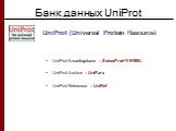 Банк данных UniProt. UniProt (Universal Protein Resource). UniProt Knowlegebase – SwissProt+TrEMBL UniProt Archive – UniParc UniProt Reference – UniRef