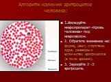 Алгоритм изучения эритроцитов человека: 1.Исследуйте микропрепарат «Кровь человека» под микроскопом. 2. Обратите внимание на: форму, цвет, отсутствие ядра, размеры и количество эритроцитов (в поле зрения). 3. Зарисуйте 2 -3 эритроцита.