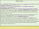 Обзор типов Типы в PascalABC.NET подразделяются на простые, строковые, структурированные, типы указателей, процедурные и классовые типы. К простым относятся целые и вещественные типы, логический, символьный, перечислимый и диапазонный тип. Структурированные типы образованы массивами, записями, множе