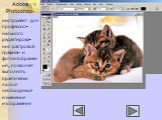 Adobe Photoshop- инструмент для профессио-нального редактирова-ния растровой графики и фотоизображений, позволяет выполнять практически любое необходимое изменение изображения