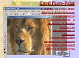 Corel Photo-Paint в отличие от Corel Draw работает исключительно с растровыми изображениями и включает огромное количество инструментов и эффектов манипулирования растровыми образами для профессиональной работы и творчества