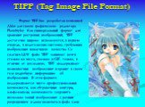 TIFF (Tag Image File Format). Формат TIFF был разработан компанией Aldus для своего графического редактора PhotoStyler. Как универсальный формат для хранения растровых изображений, TIFF достаточно широко используется, в первую очередь, в издательских системах, требующих изображения наилучшего качест