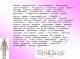 Следует предусмотреть все особенности предстоящей транспортировки: ее дальность и качество дороги, мороз и непогоду, характер полученных травм, состояние пострадавшего; позаботиться о том, чтобы оно не ухудшалось в результате перевозки. Во всех случаях принять меры по предупреждению и борьбе с травм