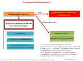 Социальный институт. форма организации совместной деятельности людей, исторически сложившаяся. направленная на реализацию определенных функций в обществе, удовлетворение социальных потребностей. цель устойчивая наличием цели характеризуется. конкретными функциями. «Социальные институты являются сист