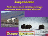 Какой арктический заповедник создан для охраны животного мира в России? Остров Врангеля