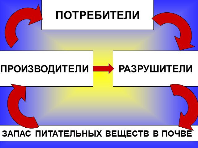 Великий круговорот жизни презентация 3 класс окружающий мир плешаков презентация