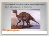 Игуанодон. Огромный растительноядный динозавр был обнаружен в Англии.