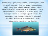 Разные виды рыб неодинаково пережидают этот тяжелый период. Многие виды теплолюбивых рыб, таких как лещи, карпы, лини, уже в октябре-ноябре собираются в огромные стаи и отправляются в зимовальные ямы. Здесь они проводят около 3 месяцев практически без движения, как сельди в бочке! У тех рыб, которые