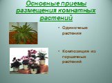 Основные приемы размещения комнатных растений. Одиночные растения Композиция из горшечных растений