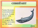 СИНИЙ КИТ. Самое большое млекопитающее на воде. Длина синего кита достигает 33 метров. Вес может доходить до 150 тонн.