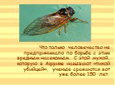 Что только человечество не предпринимало по борьбе с этим вредным насекомым. С этой мухой, которую в Африке называют «тихой убийцей», ученые сражаются вот уже более 150 лет.