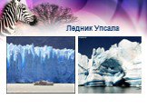 Ледник Упсала