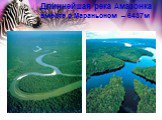 Длиннейшая река Амазонка вместе с Мараньоном – 6437м