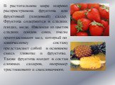 В растительном мире широко распространена фруктоза или фруктовый (плодовый) сахар. Фруктоза содержится в сладких плодах, меде. Извлекая из цветов сладких плодов соки, пчелы приготавливают мед, который по химическому составу представляет собой в основном смесь глюкозы и фруктозы. Также фруктоза входи