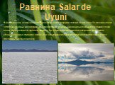 Равнина Salar de Uyuni. В Боливии есть необычная равнина Salar de Uyuni, покрытая толстым слоем соли. Ее площадь более 12000 квадратных километров, и в определенные моменты времени она покрывается тонким слоем влаги, превращаясь в огромное зеркало. Это свойство используют для настройки оптического о